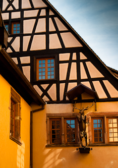 Green timber frame house in Alsace