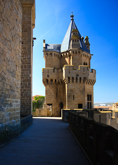 The Palacio Real (Royal Palace) of Olite