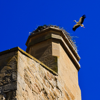 The Palacio Real (Royal Palace) of Olite