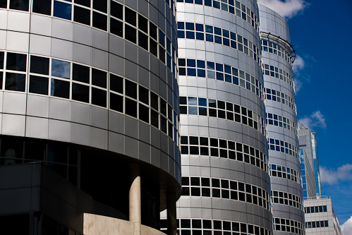 Office towers in Rotterdam