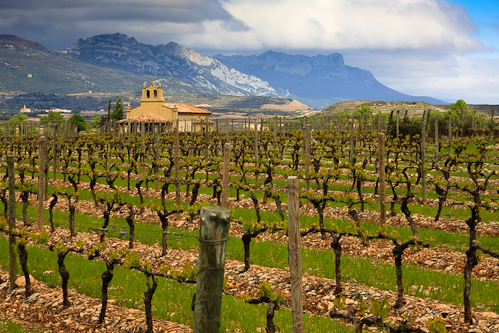 Dinastía Vivanco winery in Haro